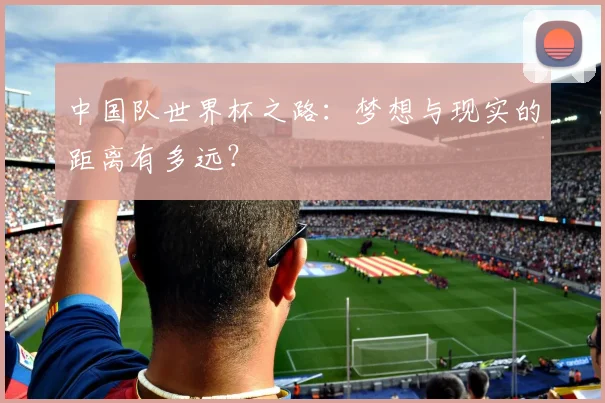 中国队世界杯之路:梦想与现实的距离有多远?