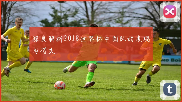 深度解析2018世界杯中国队的表现与得失