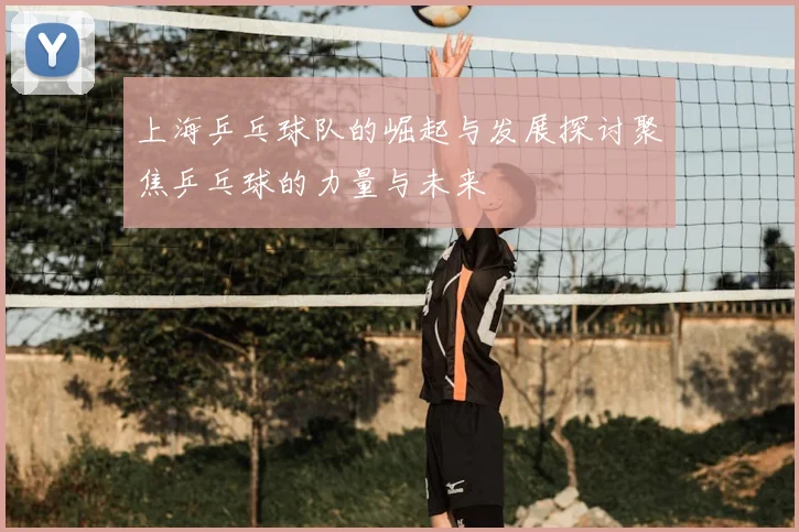 上海乒乓球队的崛起与发展探讨聚焦乒乓球的力量与未来