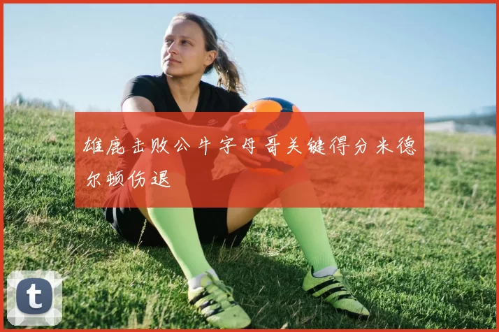 雄鹿击败公牛字母哥关键得分米德尔顿伤退
