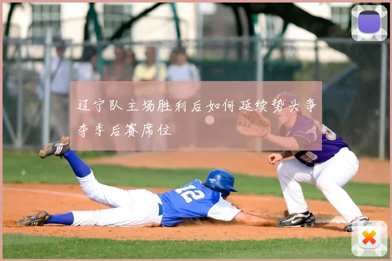 辽宁队主场胜利后如何延续势头争夺季后赛席位