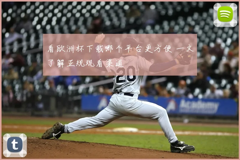 看欧洲杯下载哪个平台更方便 一文了解正规观看渠道