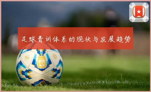 足球青训体系的现状与发展趋势