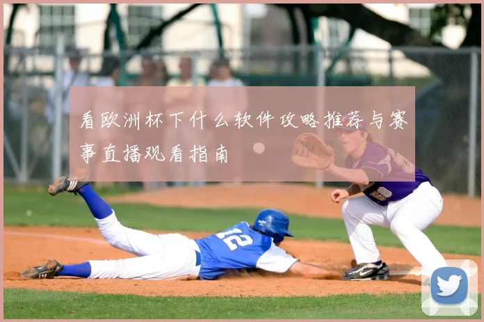 看欧洲杯下什么软件攻略推荐与赛事直播观看指南