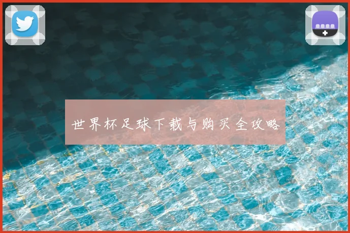 世界杯足球下载与购买全攻略