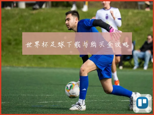 世界杯足球下载与购买全攻略