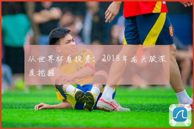 从世界杯看投资：2018年龙头股深度挖掘