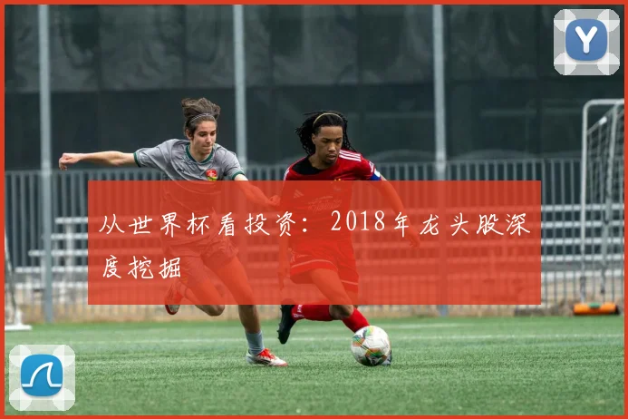 从世界杯看投资：2018年龙头股深度挖掘