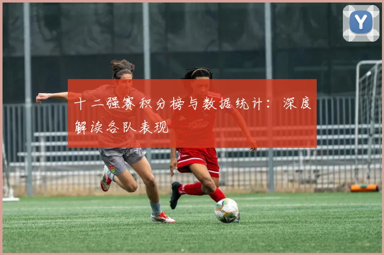 十二强赛积分榜与数据统计：深度解读各队表现