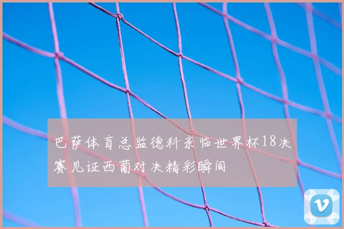 巴萨体育总监德科亲临世界杯18决赛见证西葡对决精彩瞬间