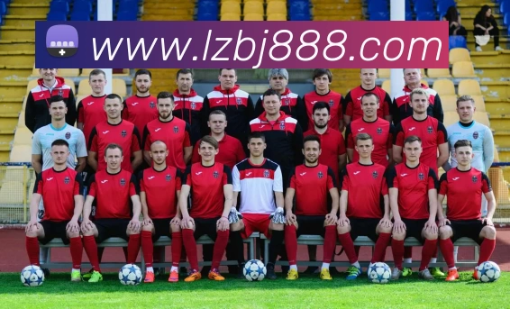 爱游戏官网品牌故事